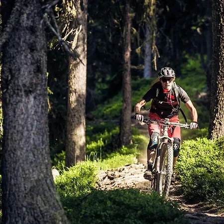 Hotel Schiefer & Goslar